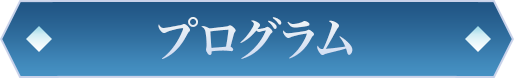 Program